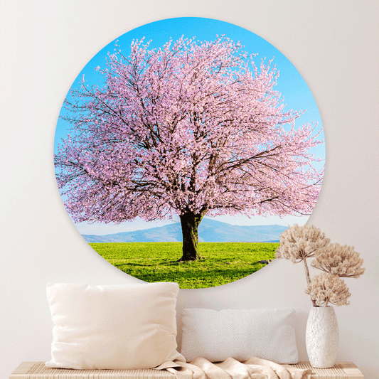 5 Inspirerende ideeën voor het stylen van je woonkamer met muurcirkels