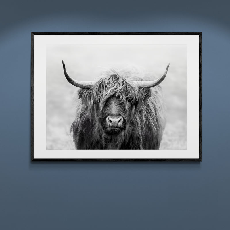 Poster in Lijst Schotse Blik