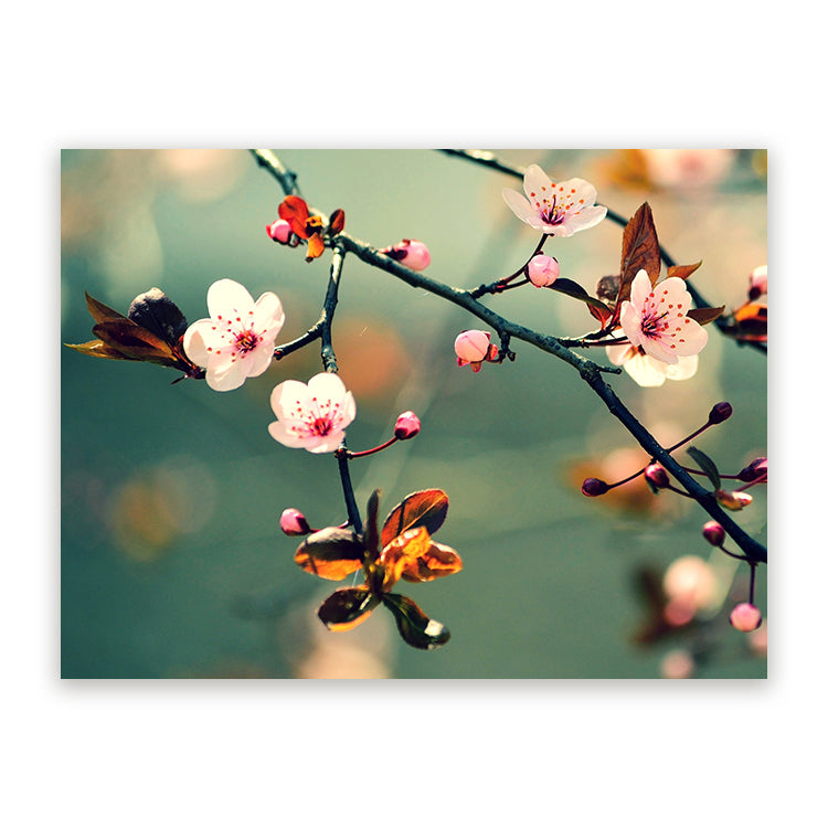 Canvas Schilderij Kersenbloem Sakura