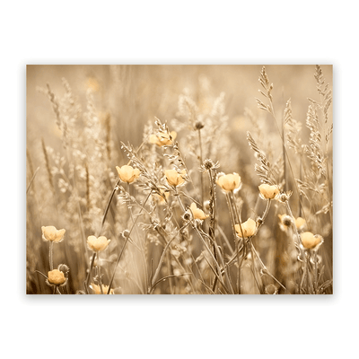 Canvas Schilderij Bloemen in de Weide