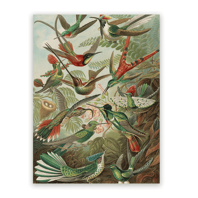 Canvas Schilderij Kolibries