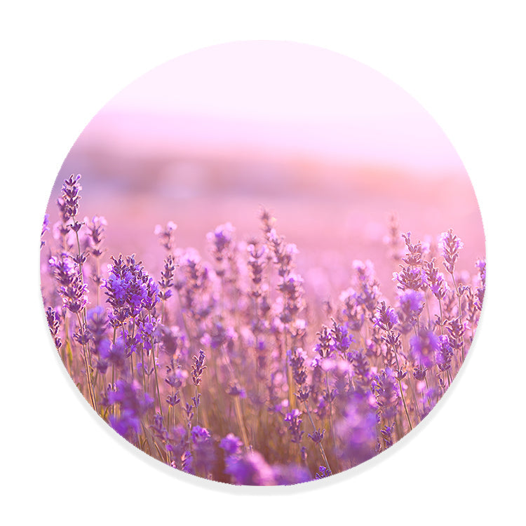 Muurcirkel Lavendel Bloemen