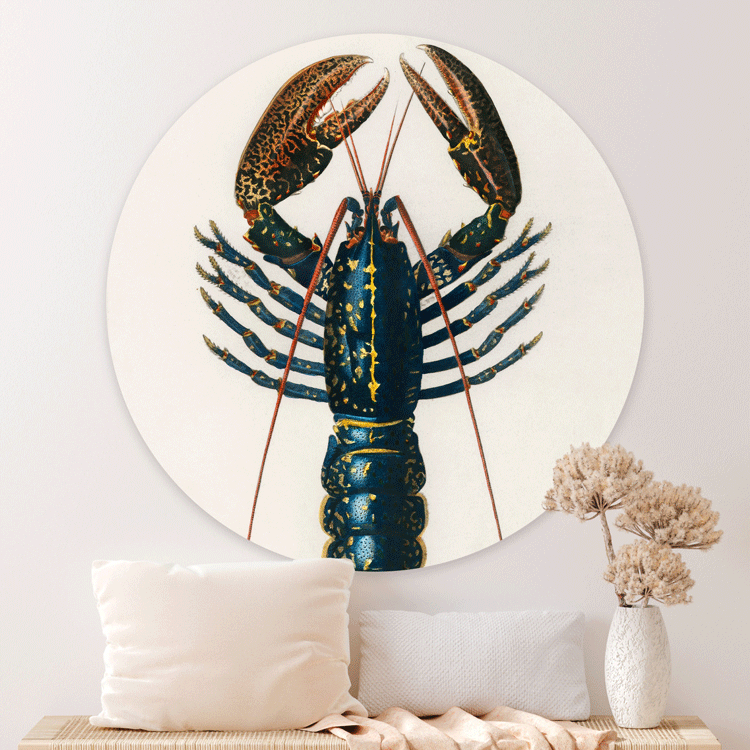 Muurcirkel Lobster