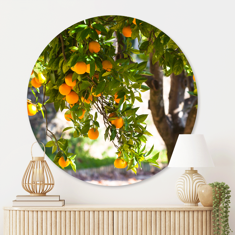 Schilderij Sinaasappelboom
