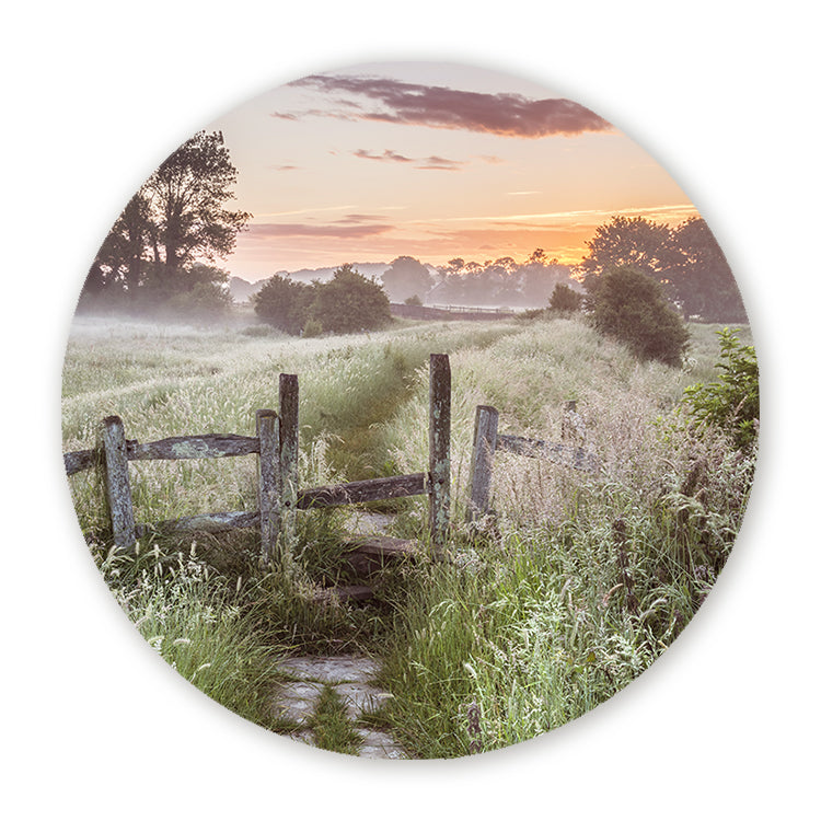 Schilderij Summer Sunset