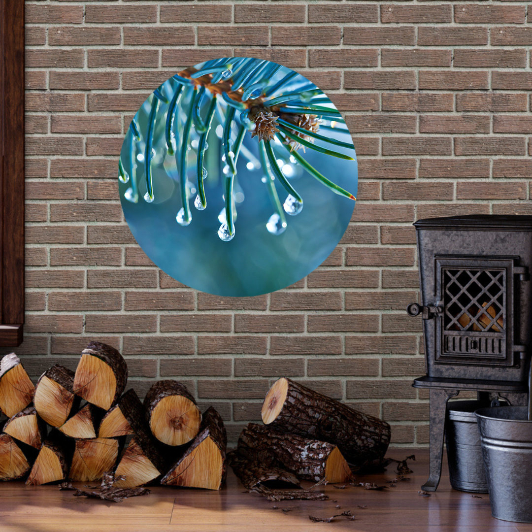 Muurcirkel Blauwe Spar met Waterdruppels