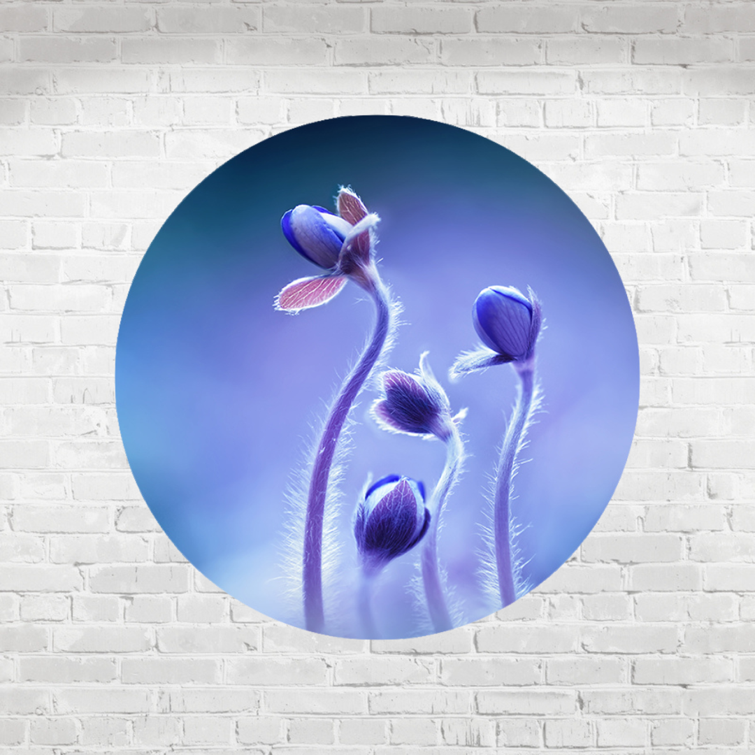 Muurcirkel Bloeiende Blauwe Bosbloemen