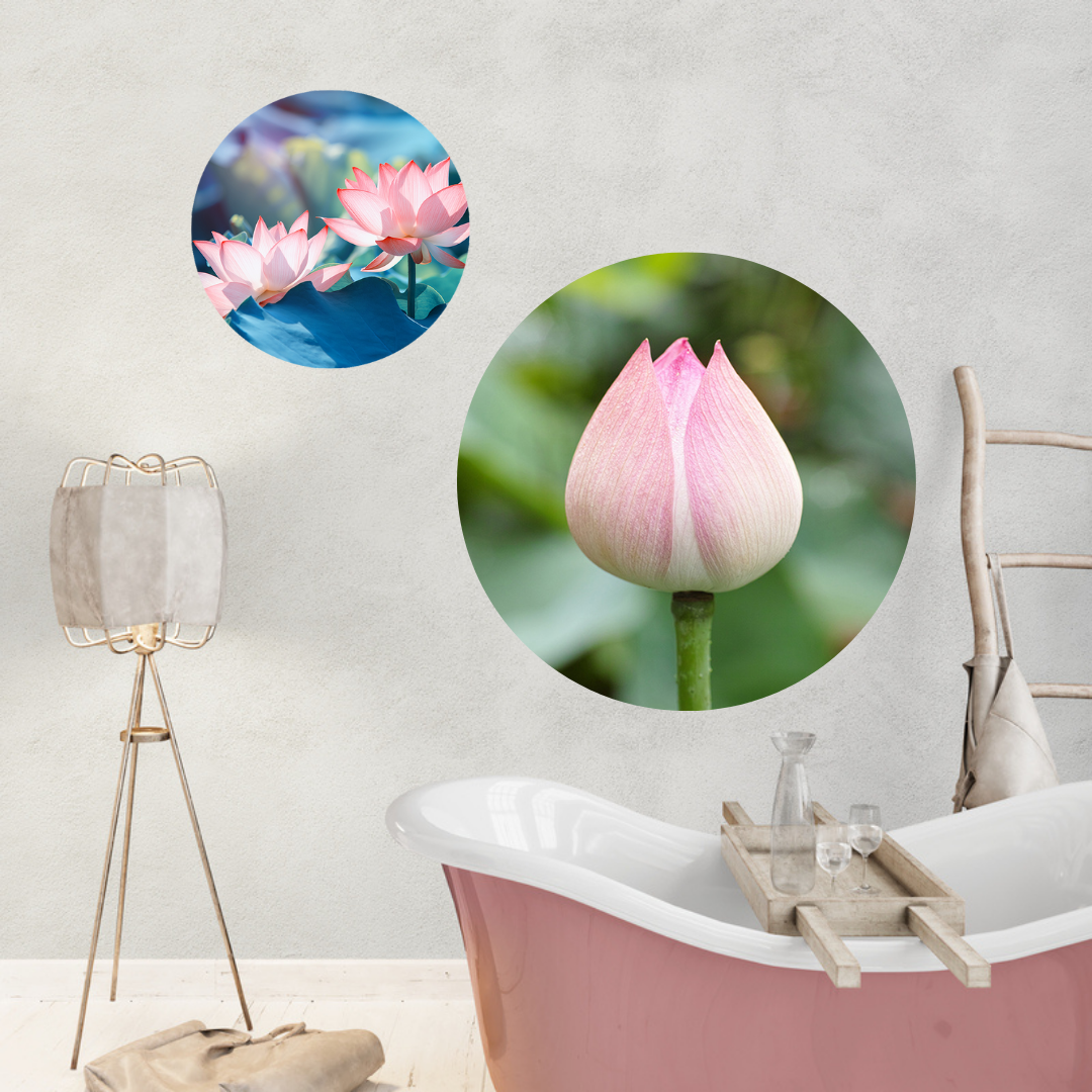 Muurcirkel Lotus Bloem