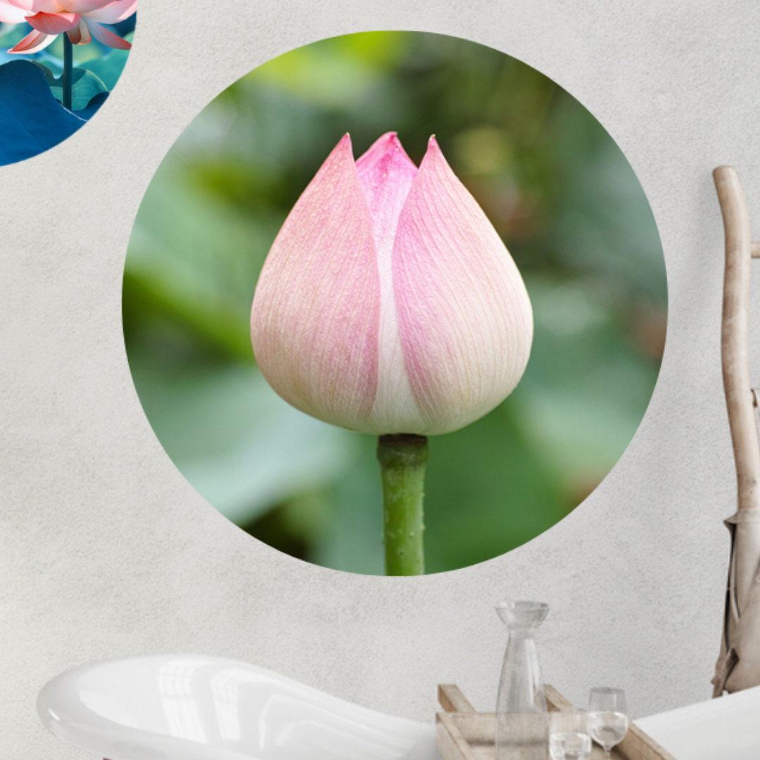 Muurcirkel Lotus Bloem