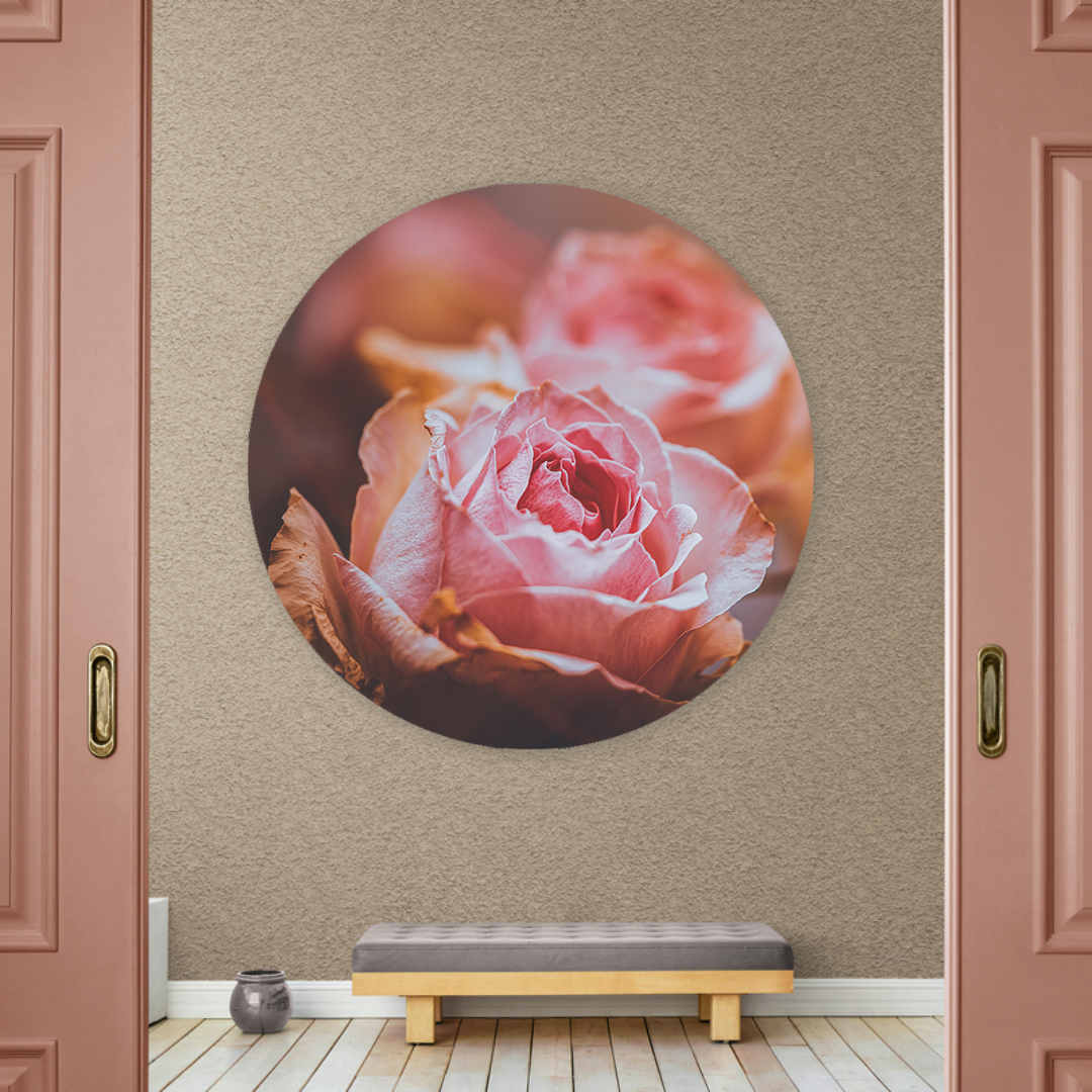Muurcirkel Roze Rozen