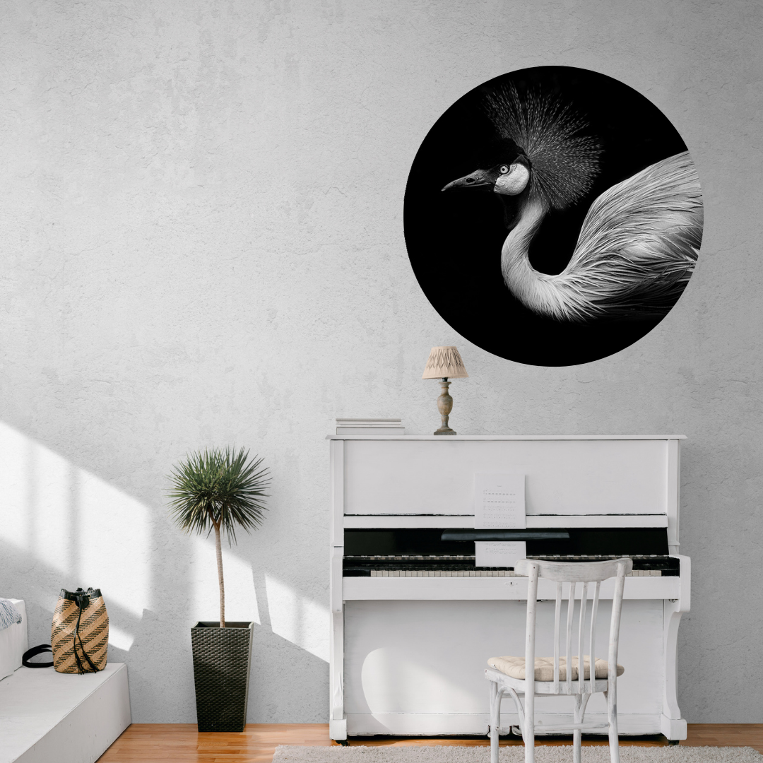 Muurcirkel Schaduwspel Flamingo