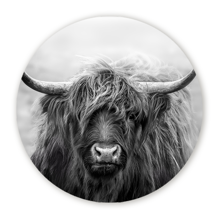 Muurcirkel Schotse Blik