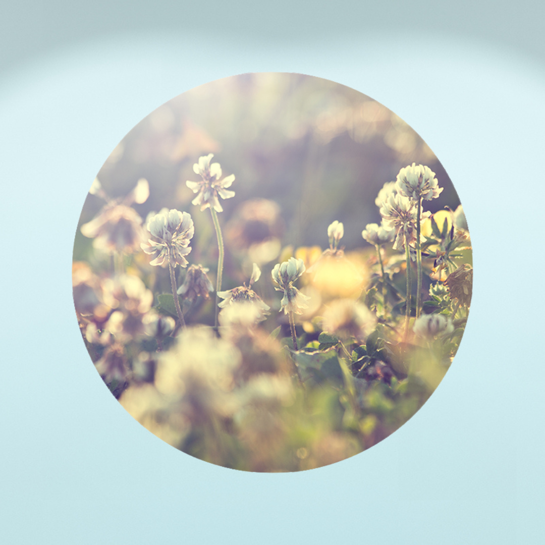 Muurcirkel Vintage Flowers