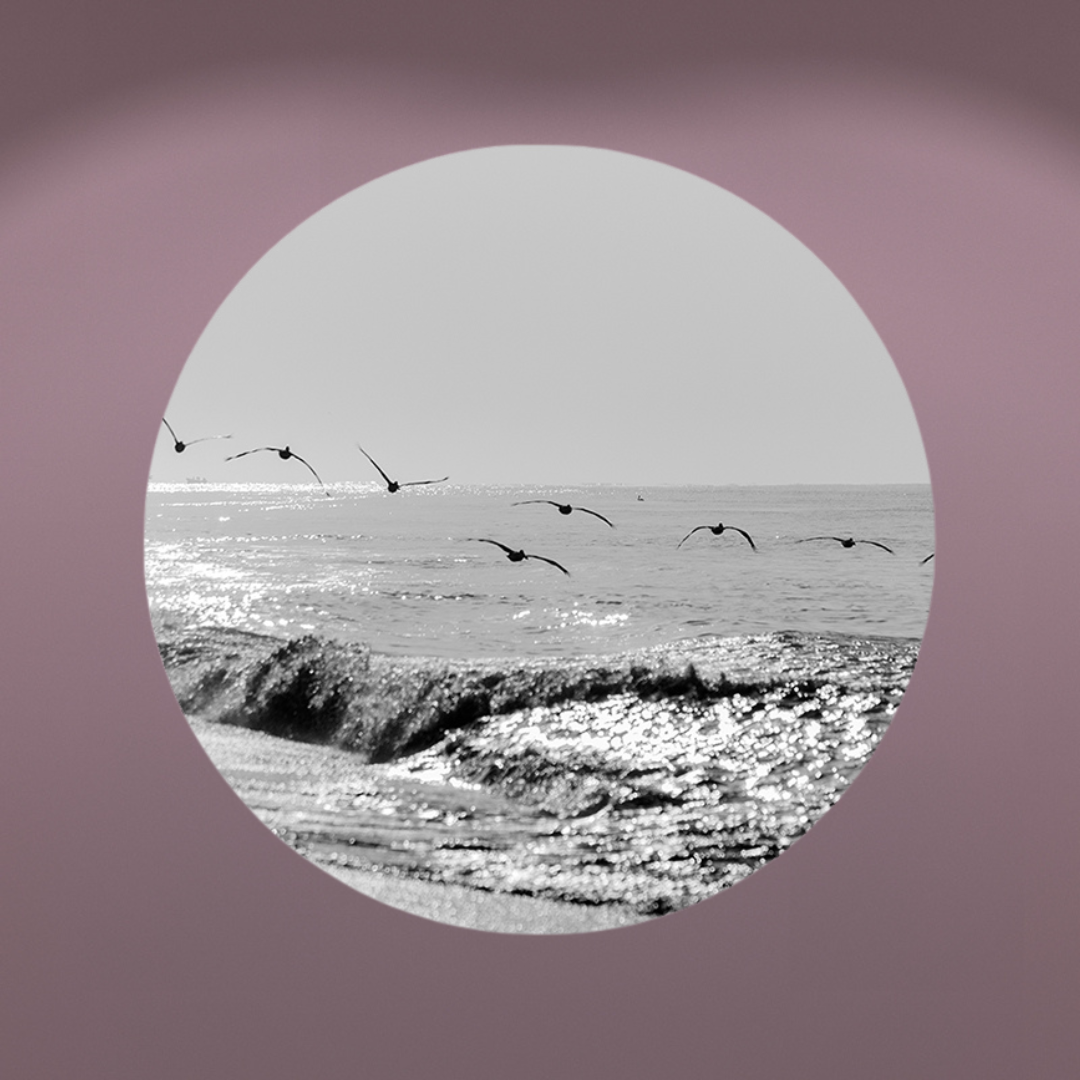 Muurcirkel Vogelvlucht aan Zee