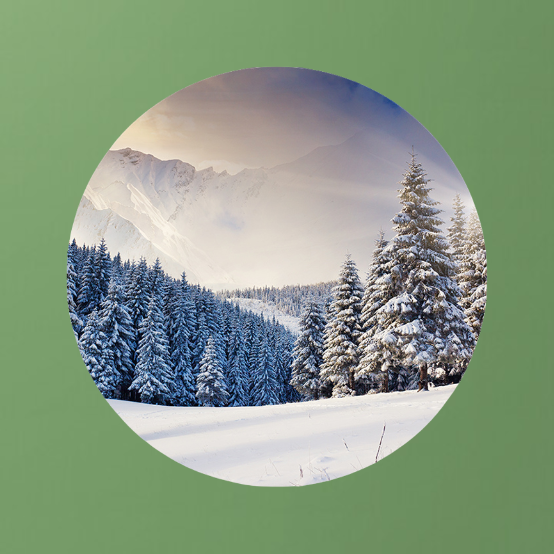 Muurcirkel Winterlandschap bij Avondschemering