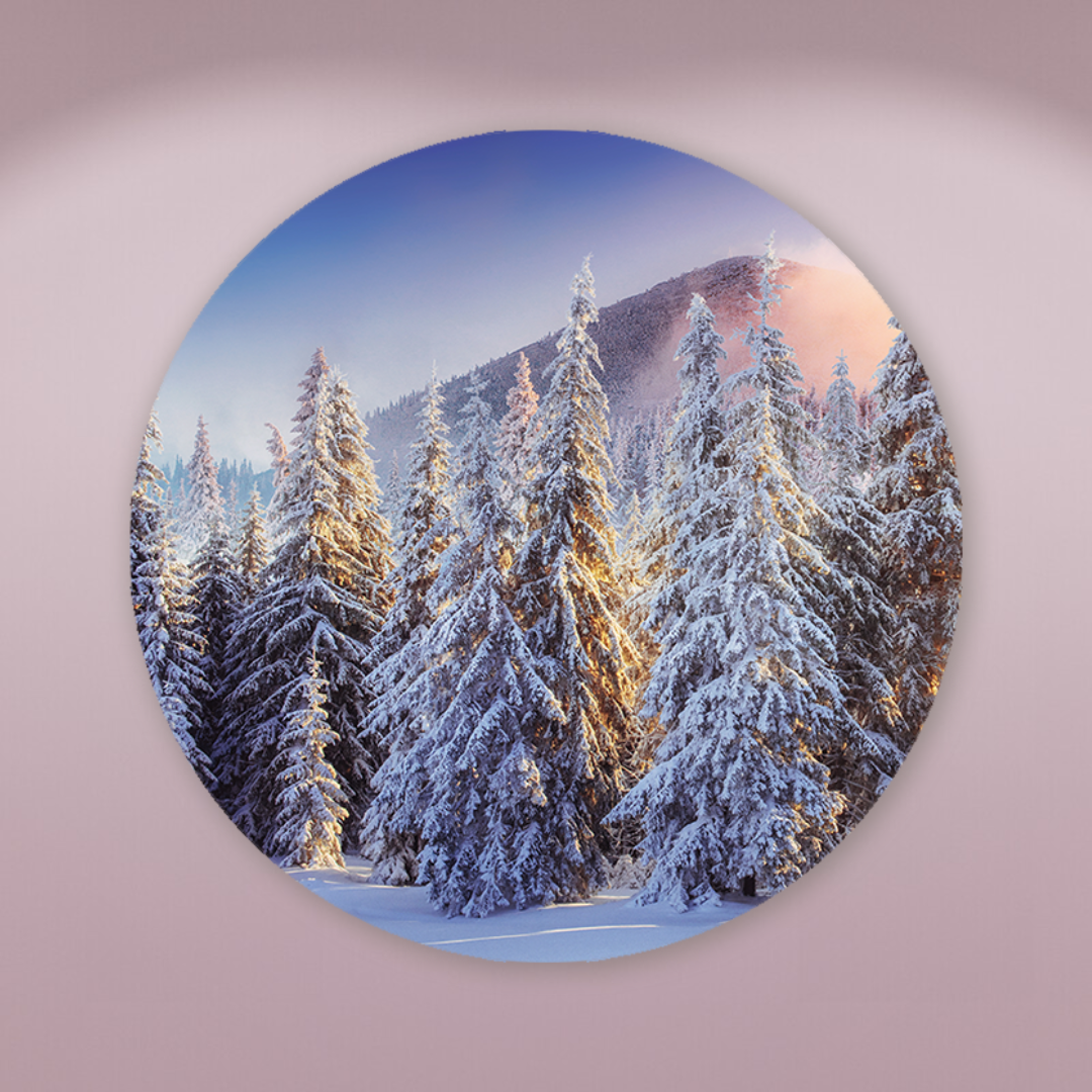 Muurcirkel Winterwoud