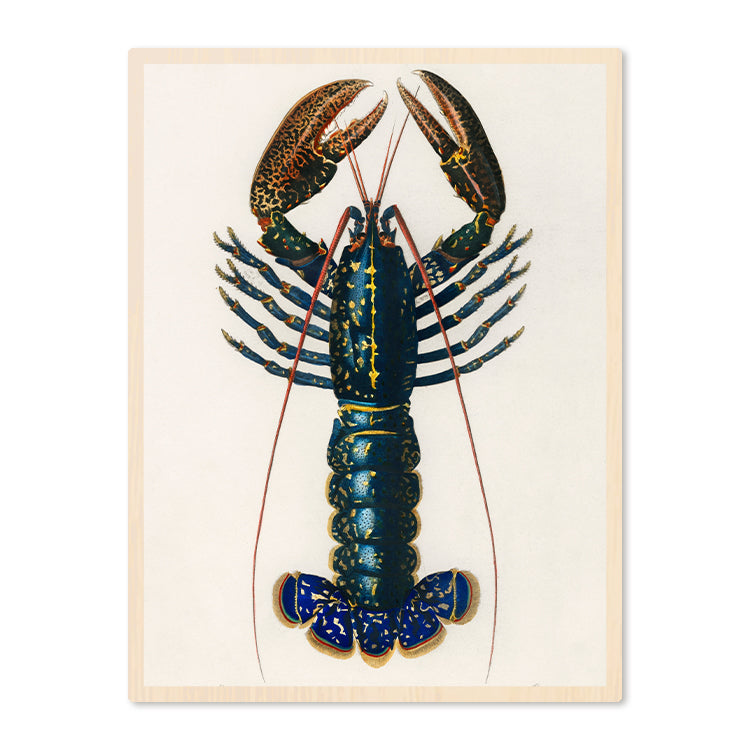 Poster in Lijst Lobster
