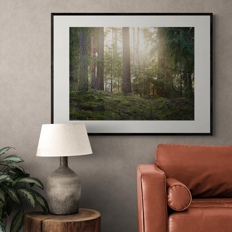 Poster in Lijst Bosrijke Mysterie