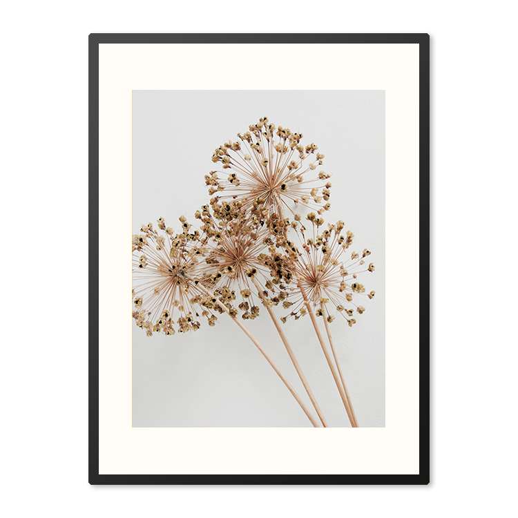 Poster in Lijst Droogbloemen
