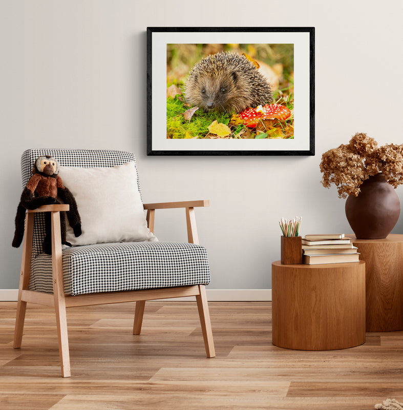 Poster in Lijst Egel in Herfstlandschap