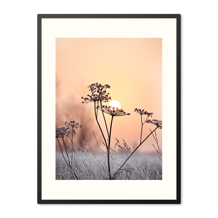 Poster in Lijst Elegante Betovering Cold Flowers