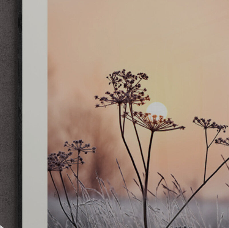 Poster in Lijst Elegante Betovering Cold Flowers