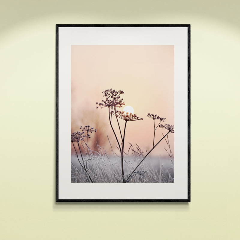 Poster in Lijst Elegante Betovering Cold Flowers