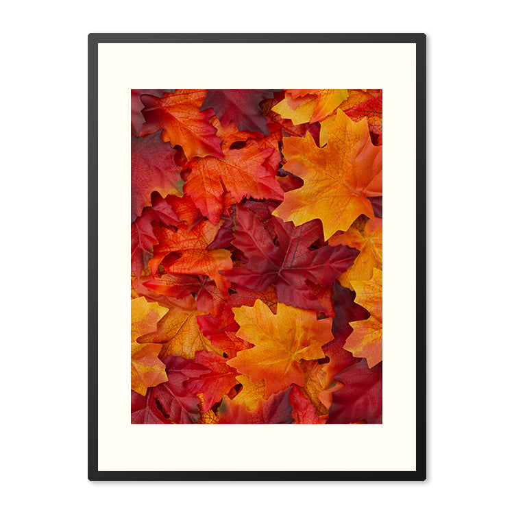 Poster in Lijst Herfstbladeren