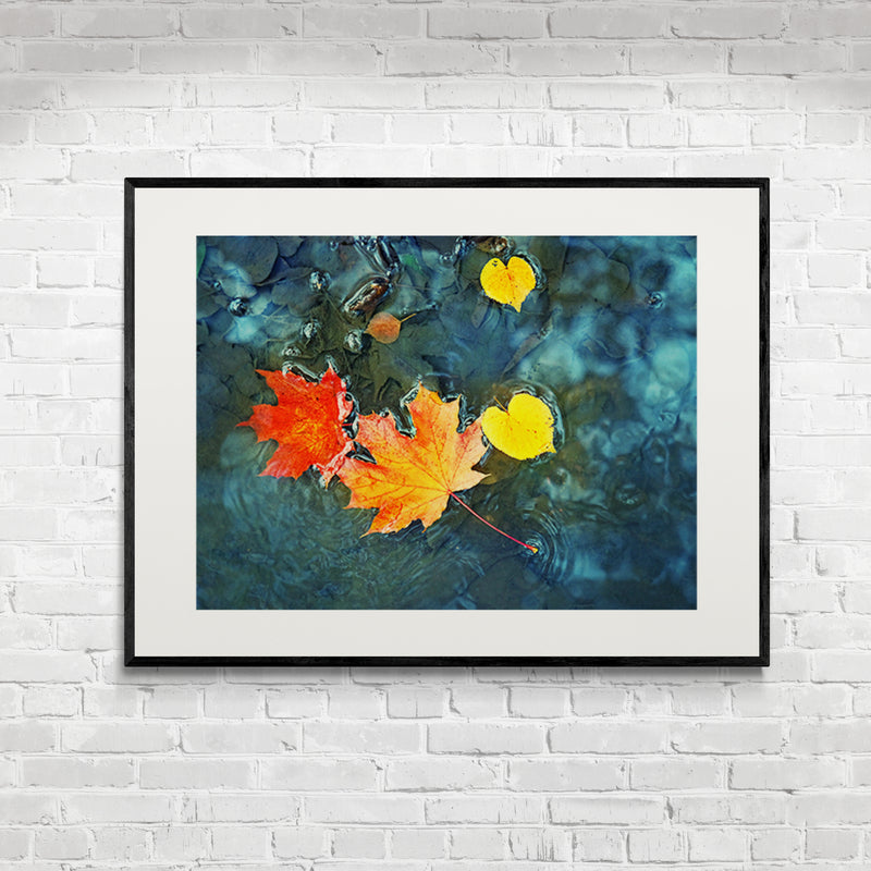 Poster in Lijst Herfstbladeren in Donkerblauw Water
