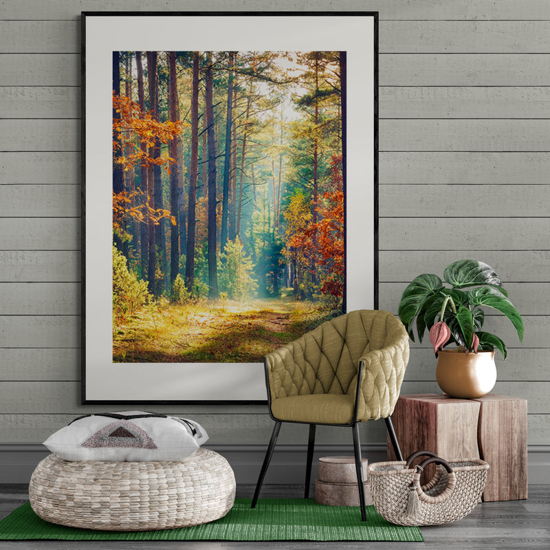 Poster in Lijst Herfstbos bij Ochtendgloren