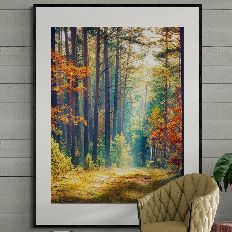 Poster in Lijst Herfstbos bij Ochtendgloren