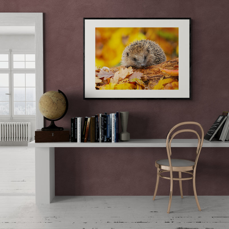 Poster in Lijst Herfstsnuffel