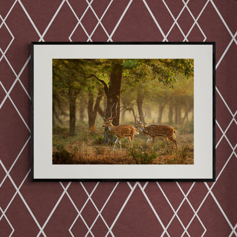 Poster in Lijst Herten in Herfstbos