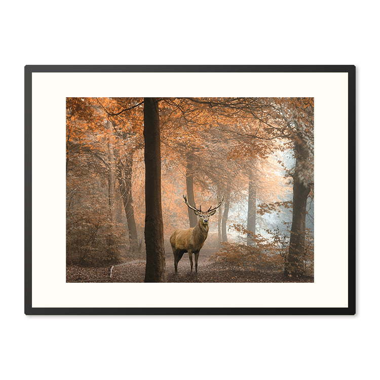 Poster in Lijst Hert in Herfstbos
