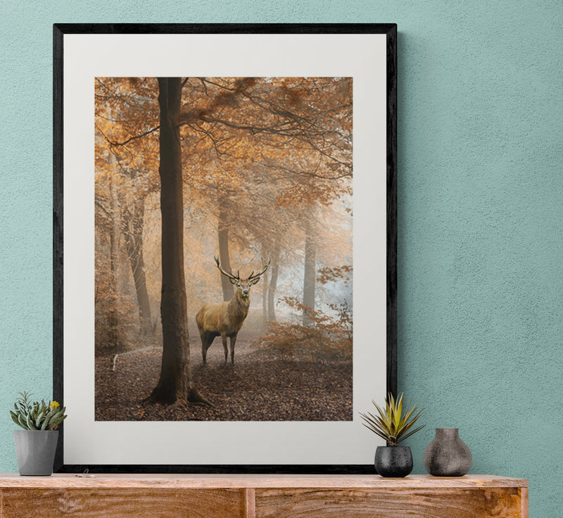 Poster in Lijst Hert in Herfstbos