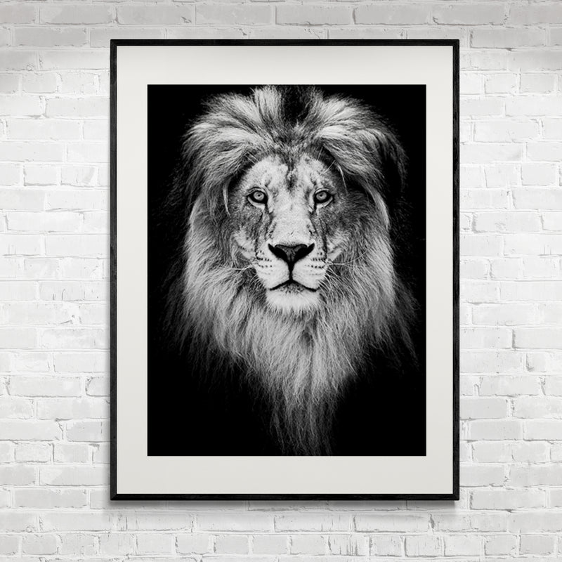 Poster in Lijst Koninklijke Leeuw