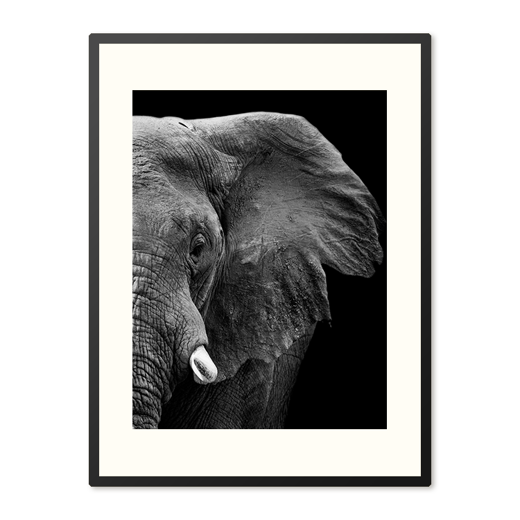 Poster in Lijst Krachtige Olifant