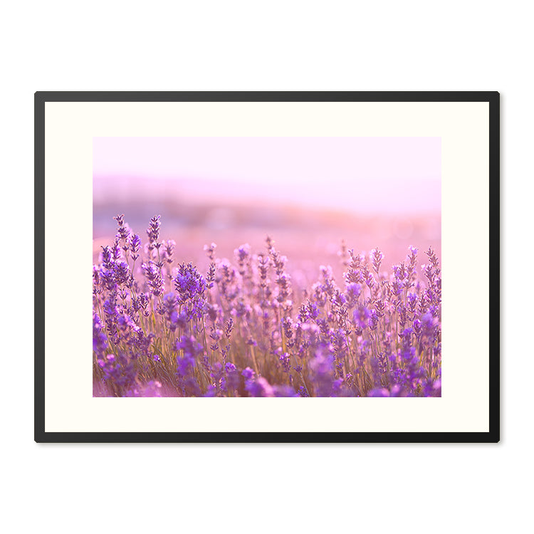 Poster in Lijst Lavendel Bloemen