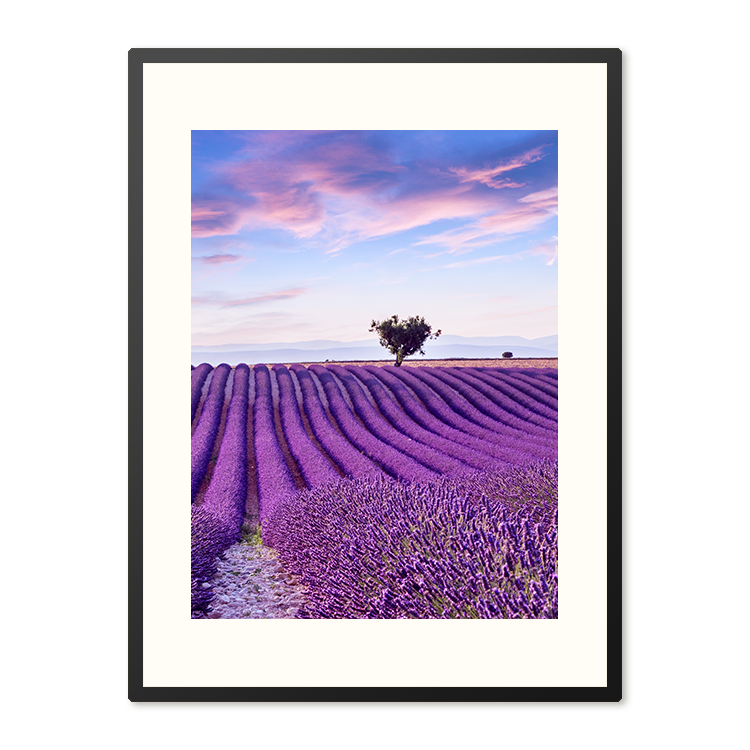 Poster in Lijst Lavendelveld in de Provence