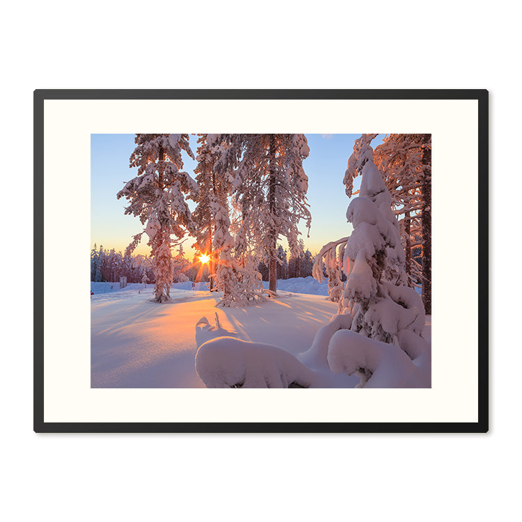 Poster in Lijst Magisch Winterbos