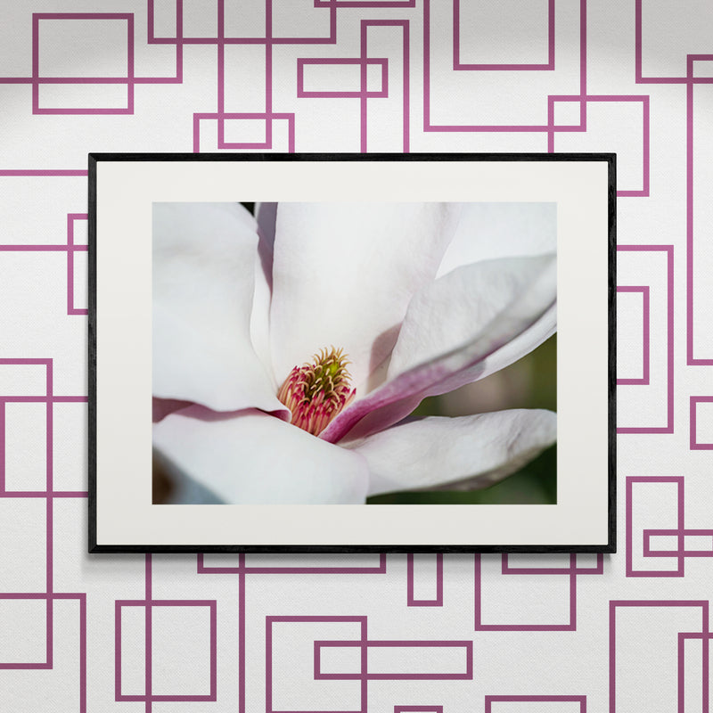 Poster in Lijst Magnolia Bloesem