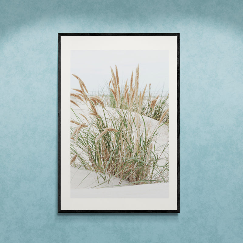 Poster in Lijst Noordzee Duinen