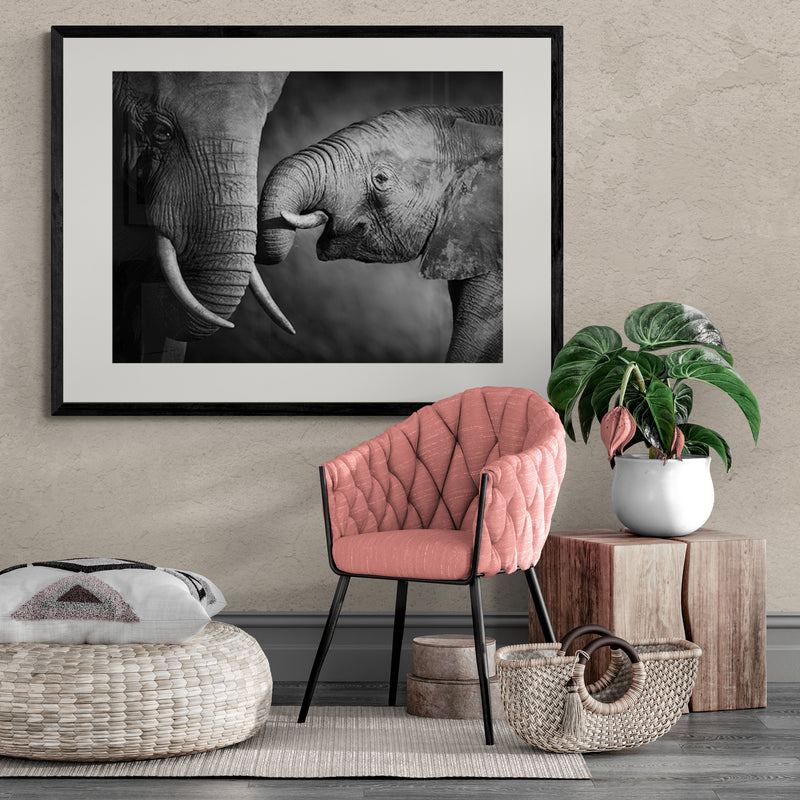 Poster in Lijst Olifanten Genegenheid