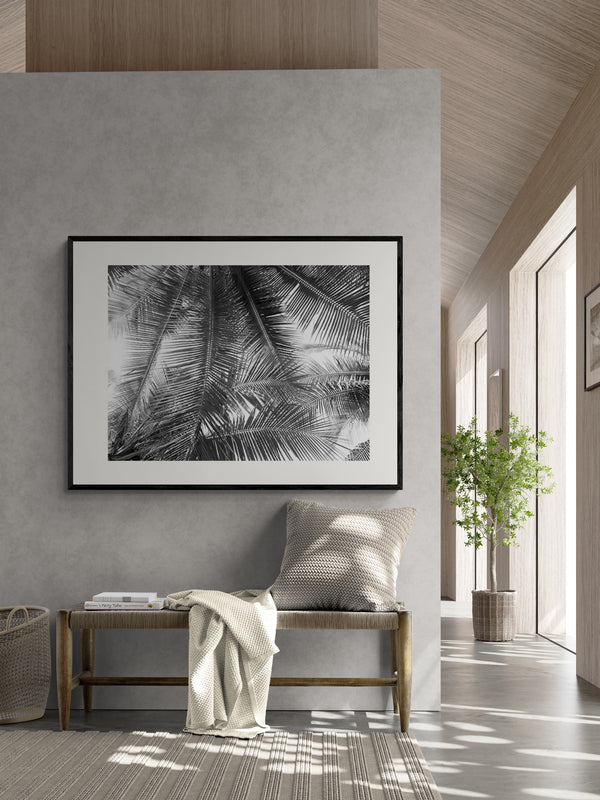 Poster in Lijst Palmblad Contouren