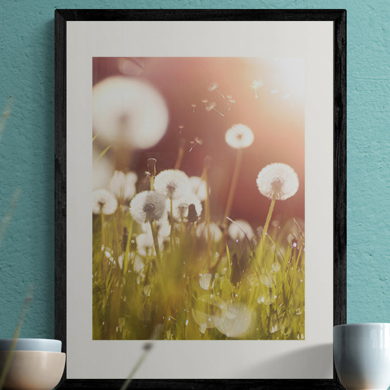 Poster in Lijst Pluizige Paardenbloem