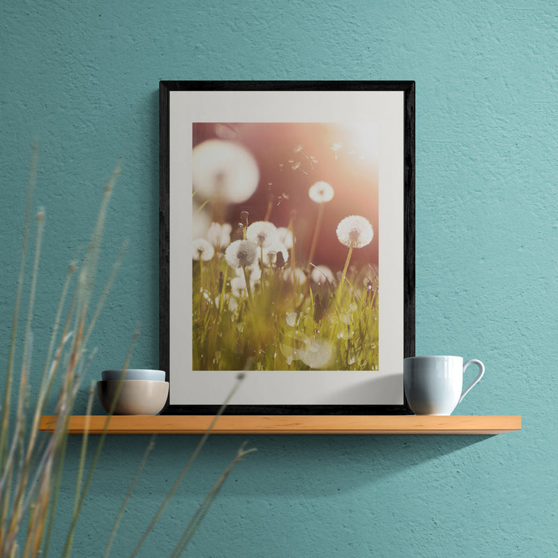 Poster in Lijst Pluizige Paardenbloem