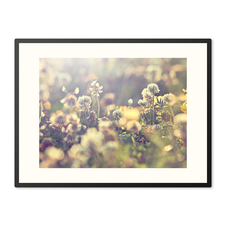 Poster in Lijst Schilderij Vintage Flowers
