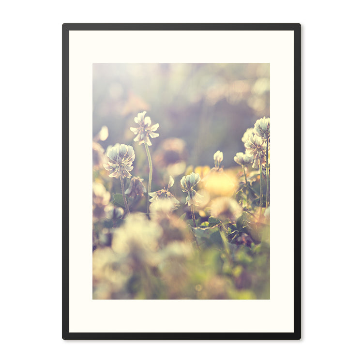 Poster in Lijst Schilderij Vintage Flowers