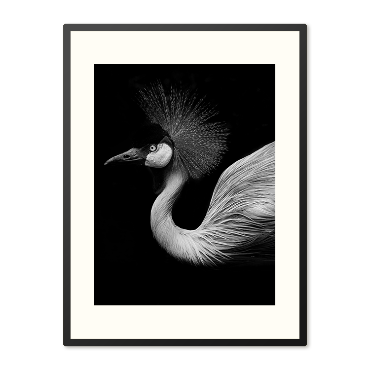 Poster in lijst Schaduwspel Flamingo