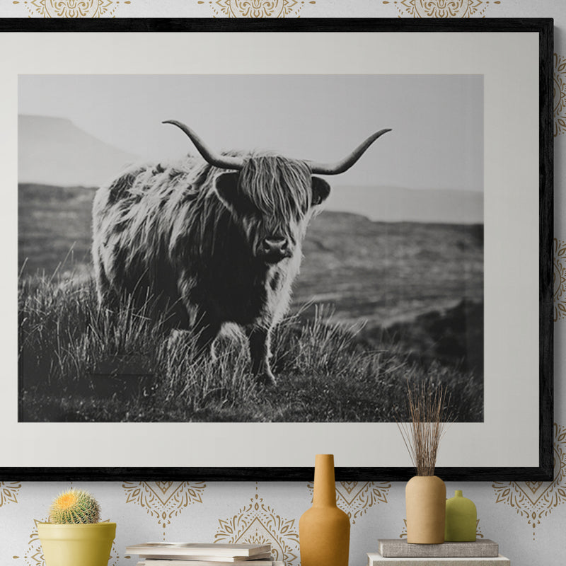 Poster in Lijst Schotse Hooglander